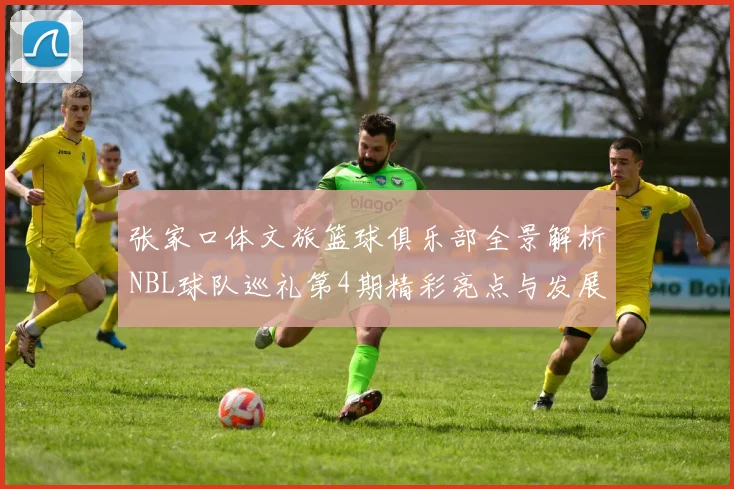 张家口体文旅篮球俱乐部全景解析NBL球队巡礼第4期精彩亮点与发展前景