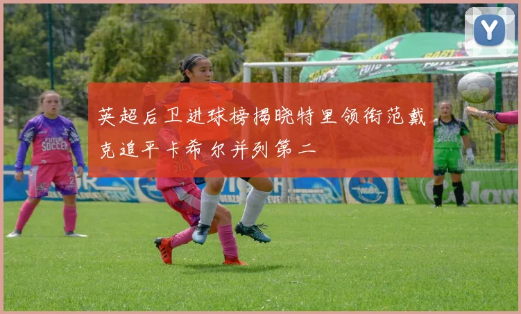 英超后卫进球榜揭晓特里领衔范戴克追平卡希尔并列第二