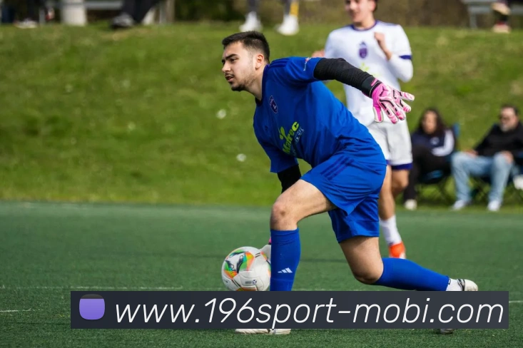 196体育发展历程